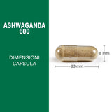 Maximum Ashwaganda 600