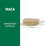 Maximum Maca
