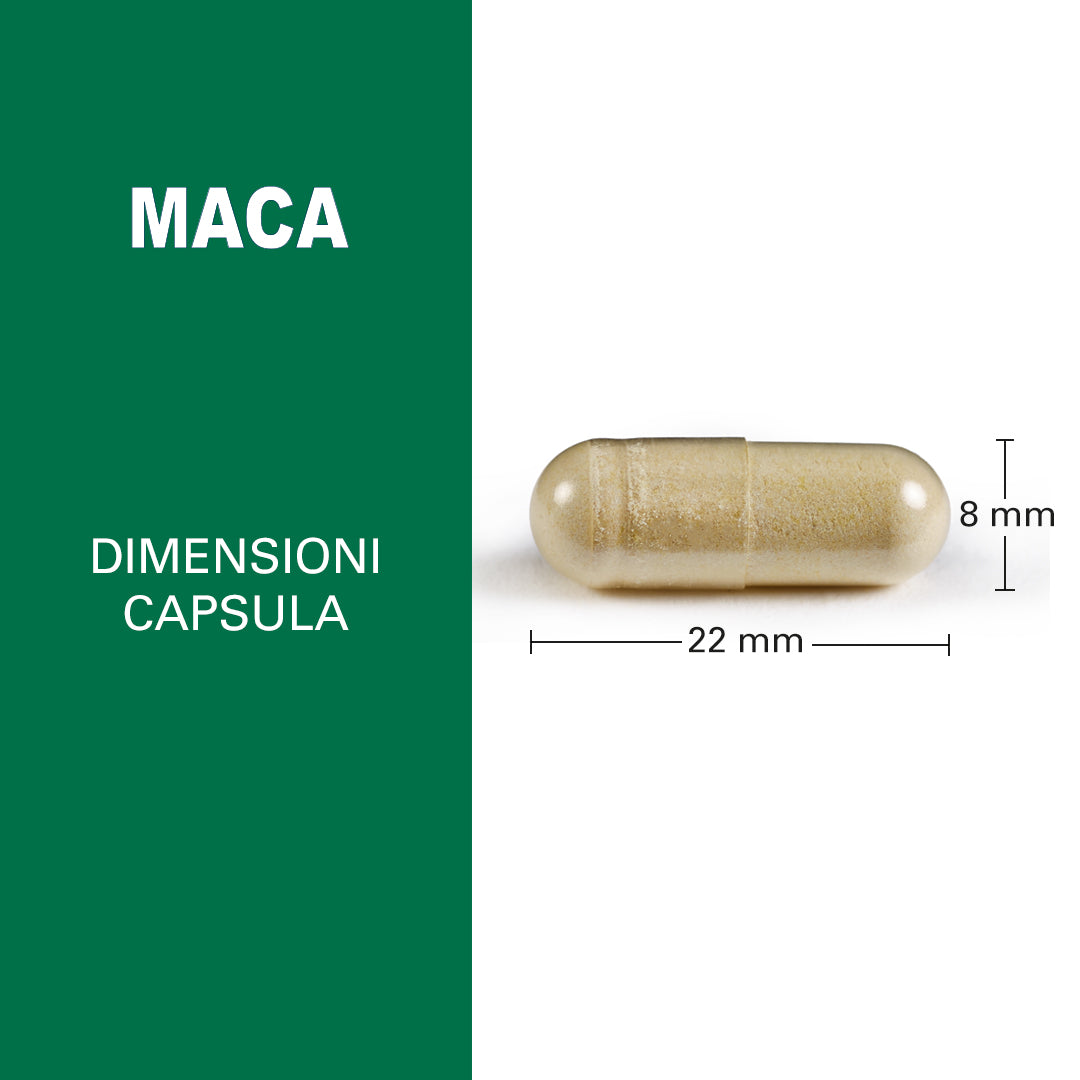 Maximum Maca