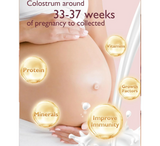 Mbledhës i ripërdorshëm i qumështit të gjirit Momcozy Colostrum *2 copë