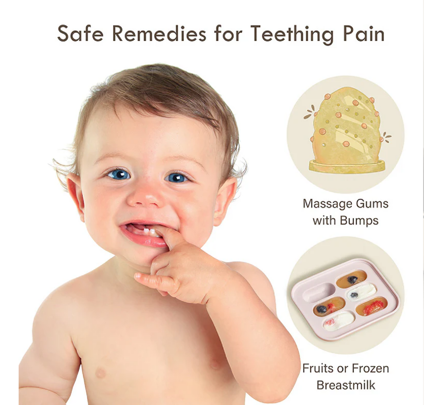 Moonkie Baby Food Feeder 2 Pack (4 Months+)