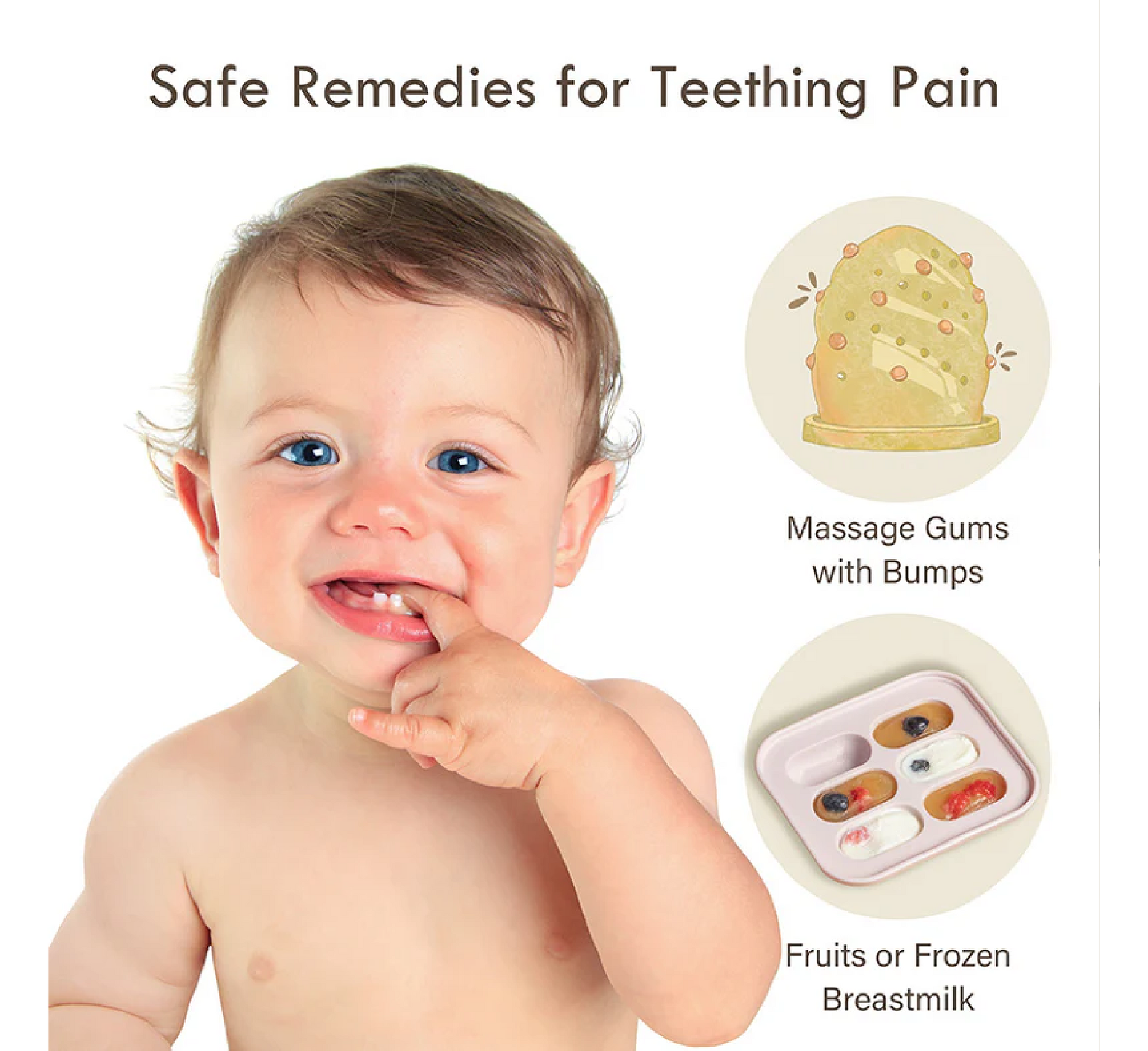 Moonkie Baby Food Feeder 2 Pack (4 Months+)