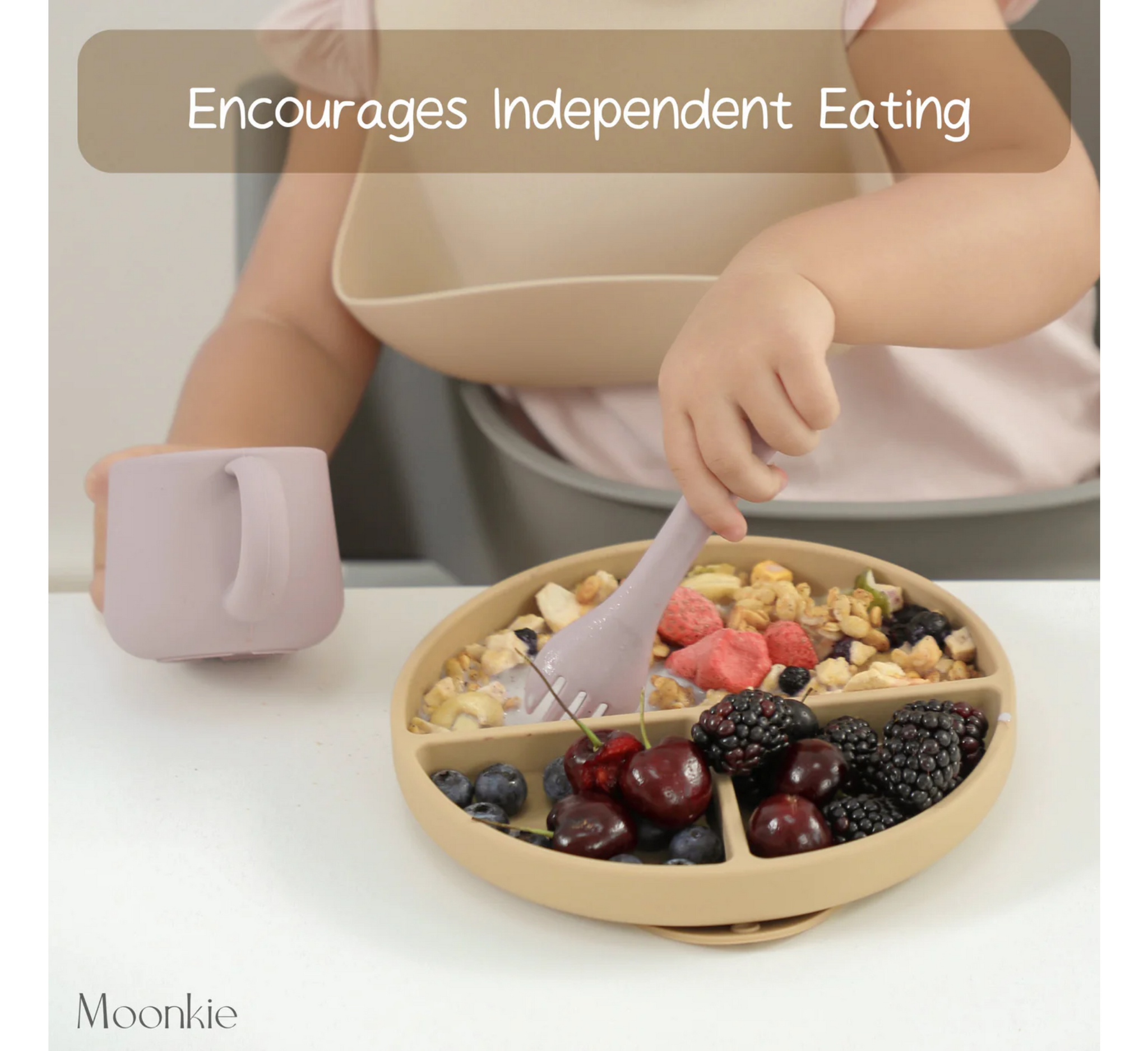 Moonkie Suction Plate (1 pack) 4 Months+