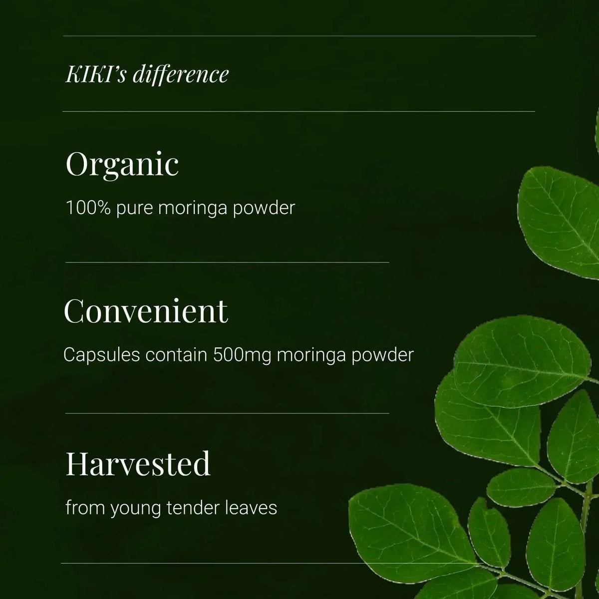 Moringa Leaf, Organic - 120 Vegicaps