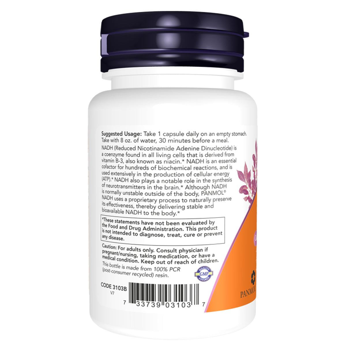 NADH 10 MG WITH 200MG RIBOSE 60 VCAPS