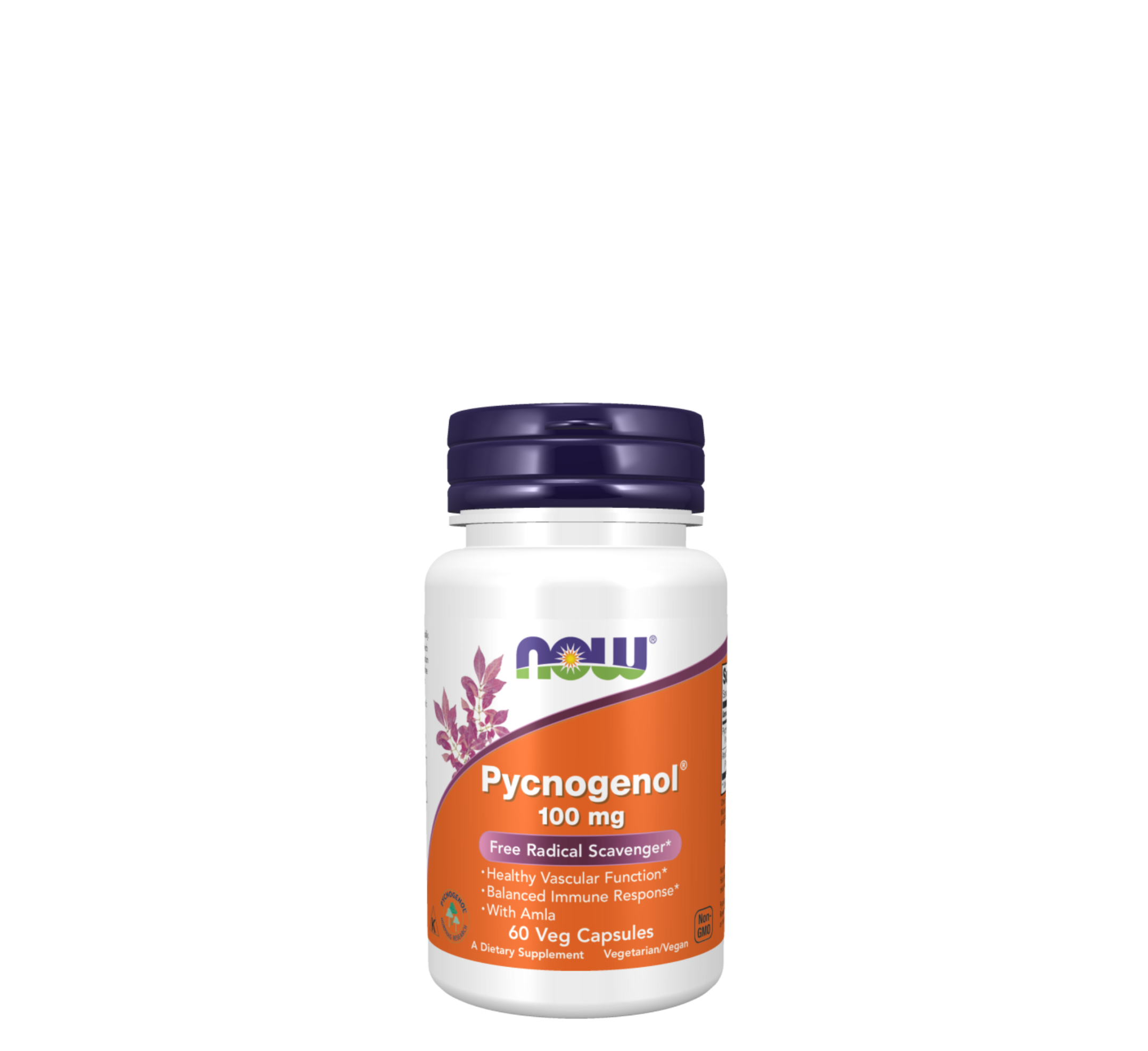 NOW Pycnogenol® 100 mg *60Veg Capsules