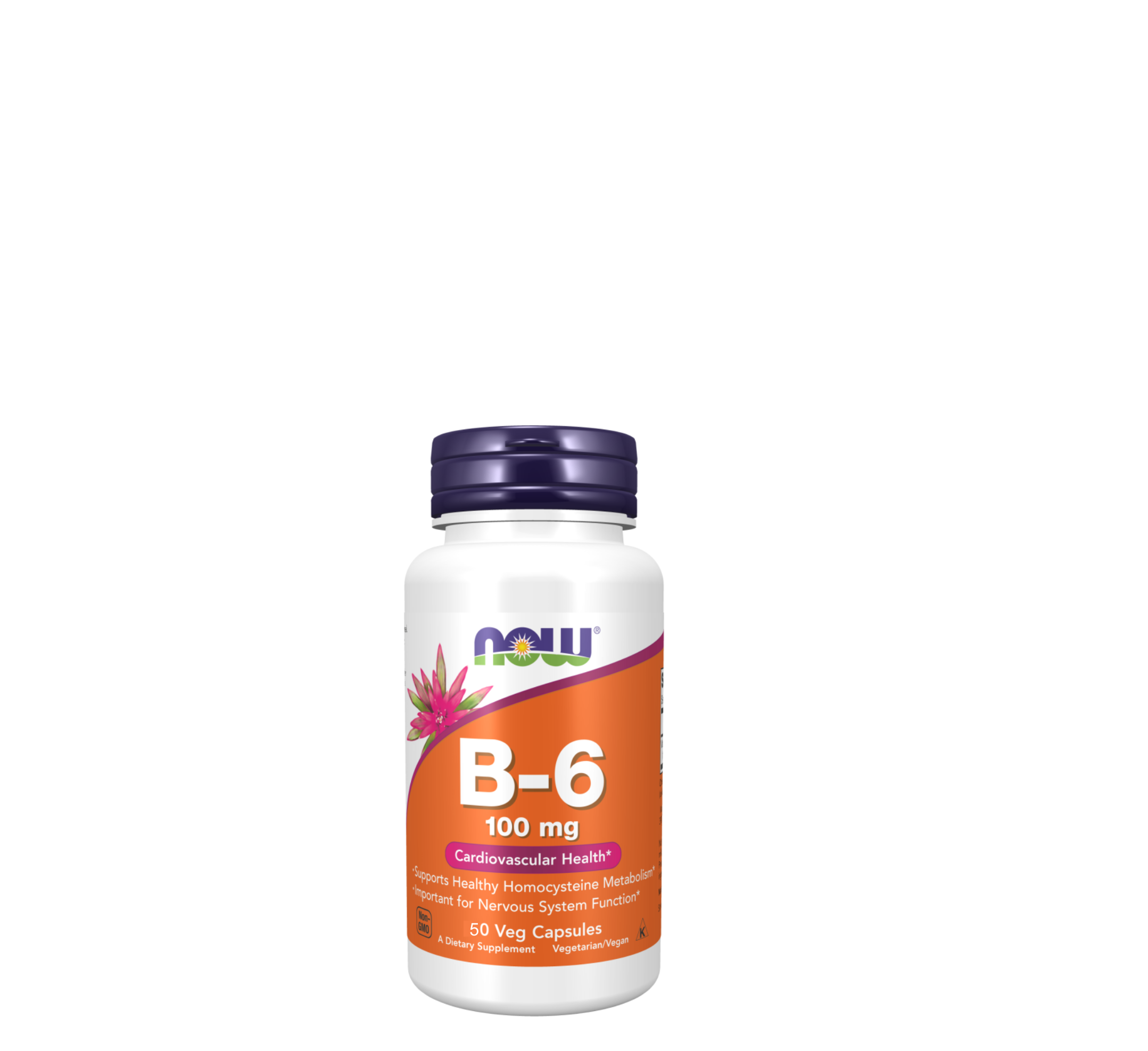 NOW Vitamin B-6 100 mg *50Veg Capsules