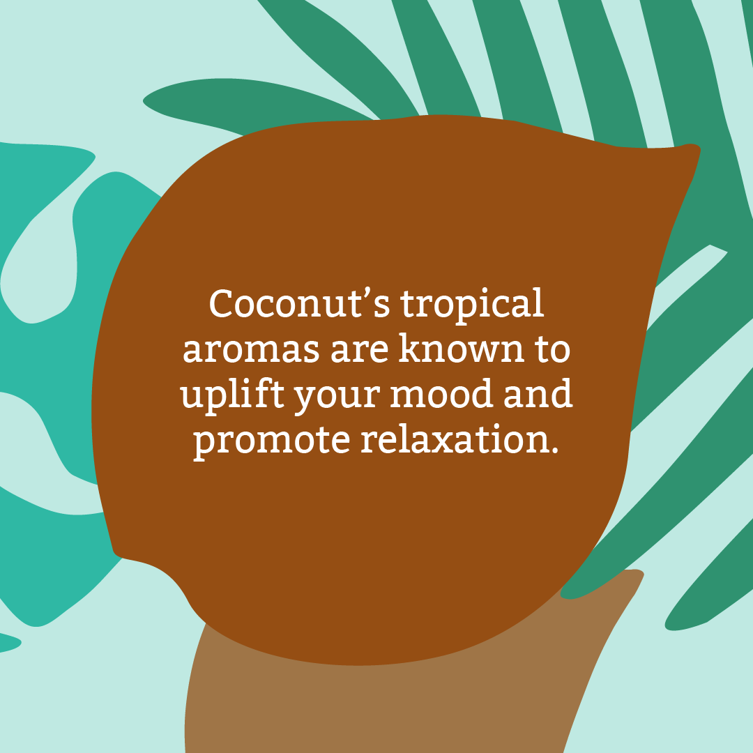 Coconut Body Wash - 400ml