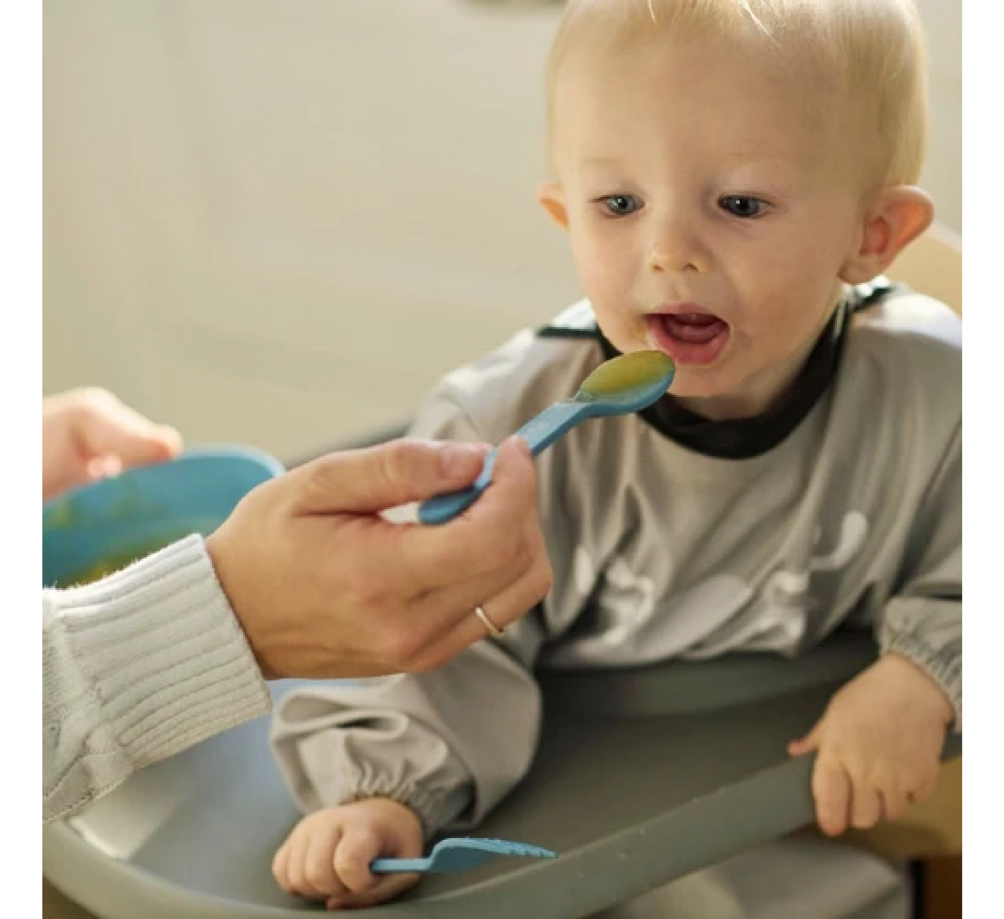 Nuvita Bioplastic Baby Food Set 12m+