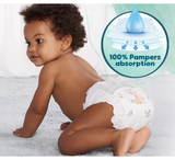 Pampers® Harmonie Nappies
