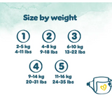 Pampers® Harmonie Nappies