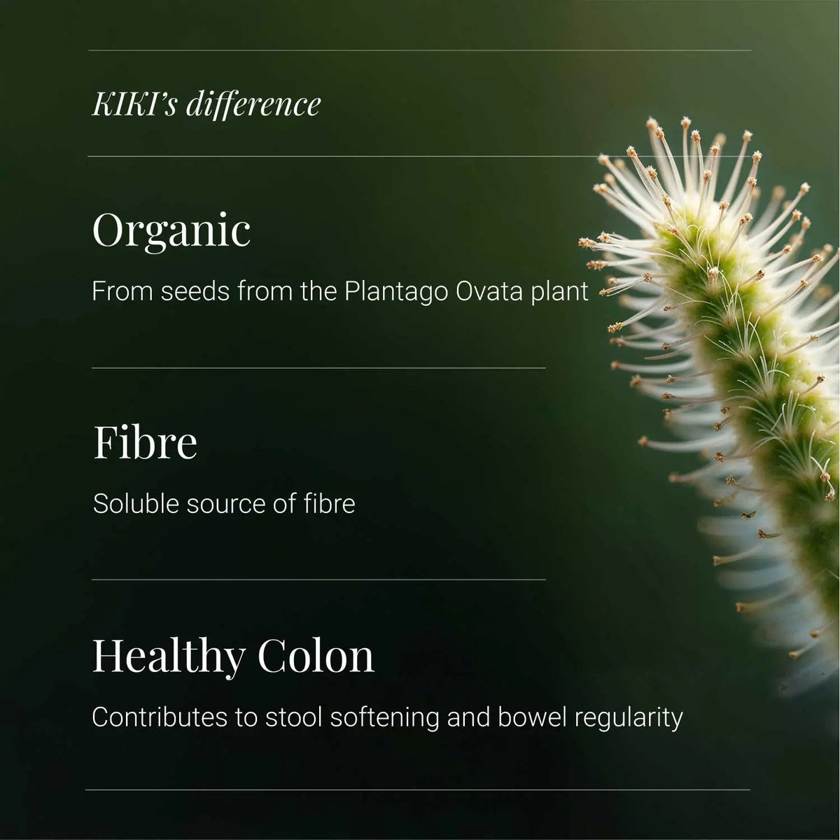 Psyllium Husks, Organic - 120 Vegicaps