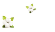 SALVIETTINE STRUCCANTI PELLI SENSIBILI ECO TESSUTO
