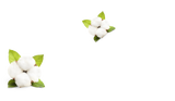 SALVIETTINE STRUCCANTI PELLI SENSIBILI ECO TESSUTO