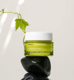 Santorini Grape Poreless Skin Cream