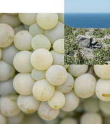 Santorini Grape Velvet Skin Drink