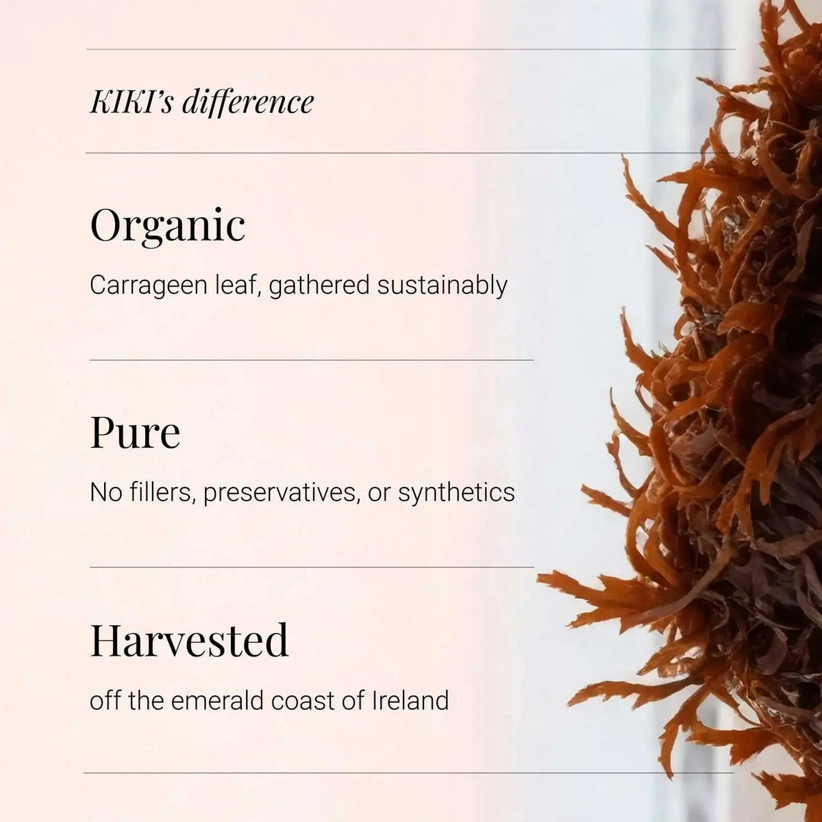 Sea Moss Irish, Organic - 90 Vegicaps