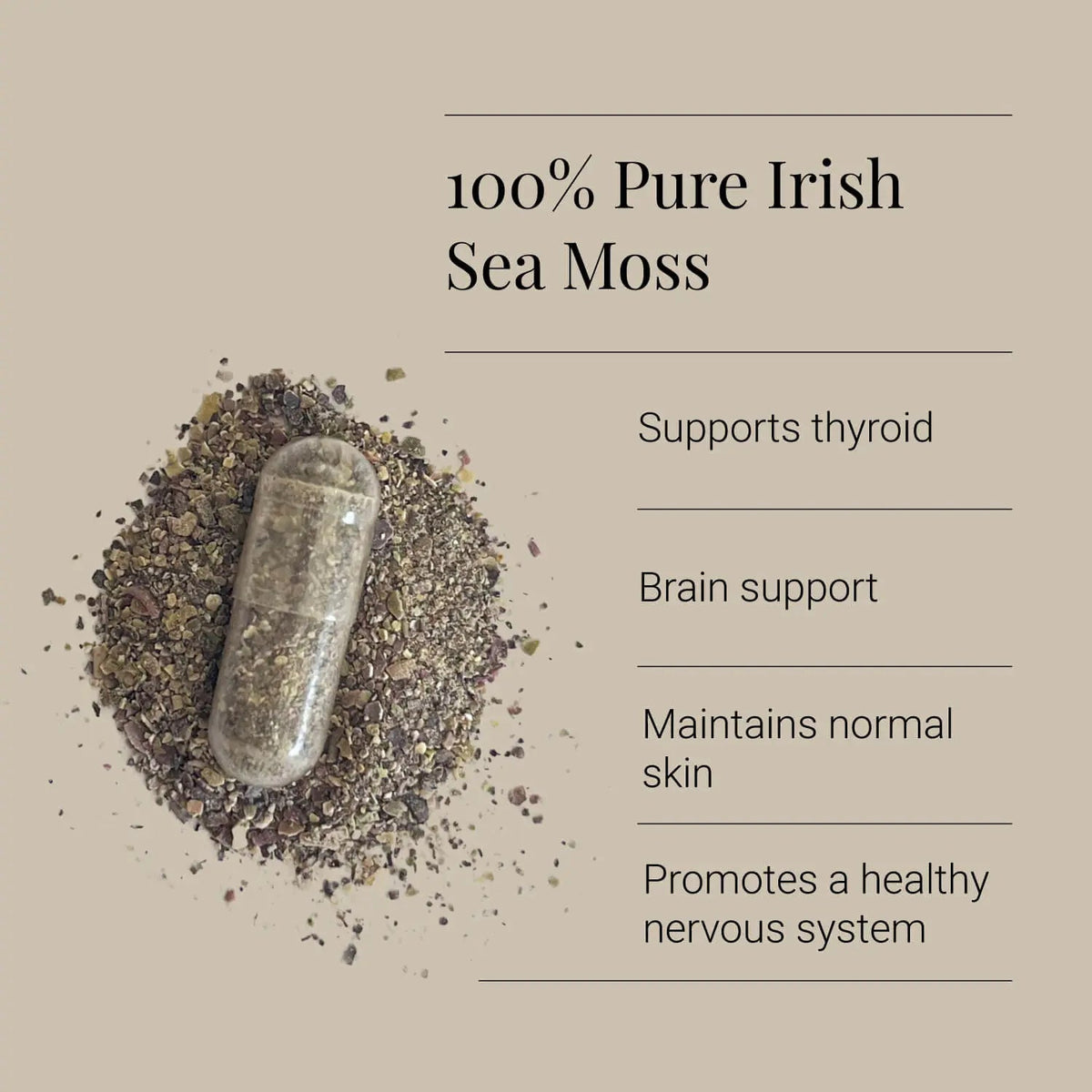 Sea Moss Irish, Organic - 90 Vegicaps