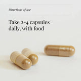 Shiitake Extract, Organic - 60 Vegicaps