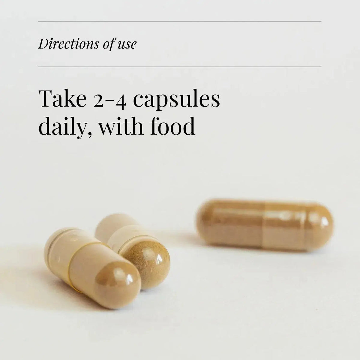 Shiitake Extract, Organic - 60 Vegicaps