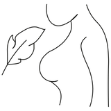 Washable 6x Silk Breast Pads