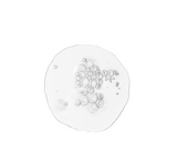 Serumi Balancues dhe Qartësues i Ordinary *30ml