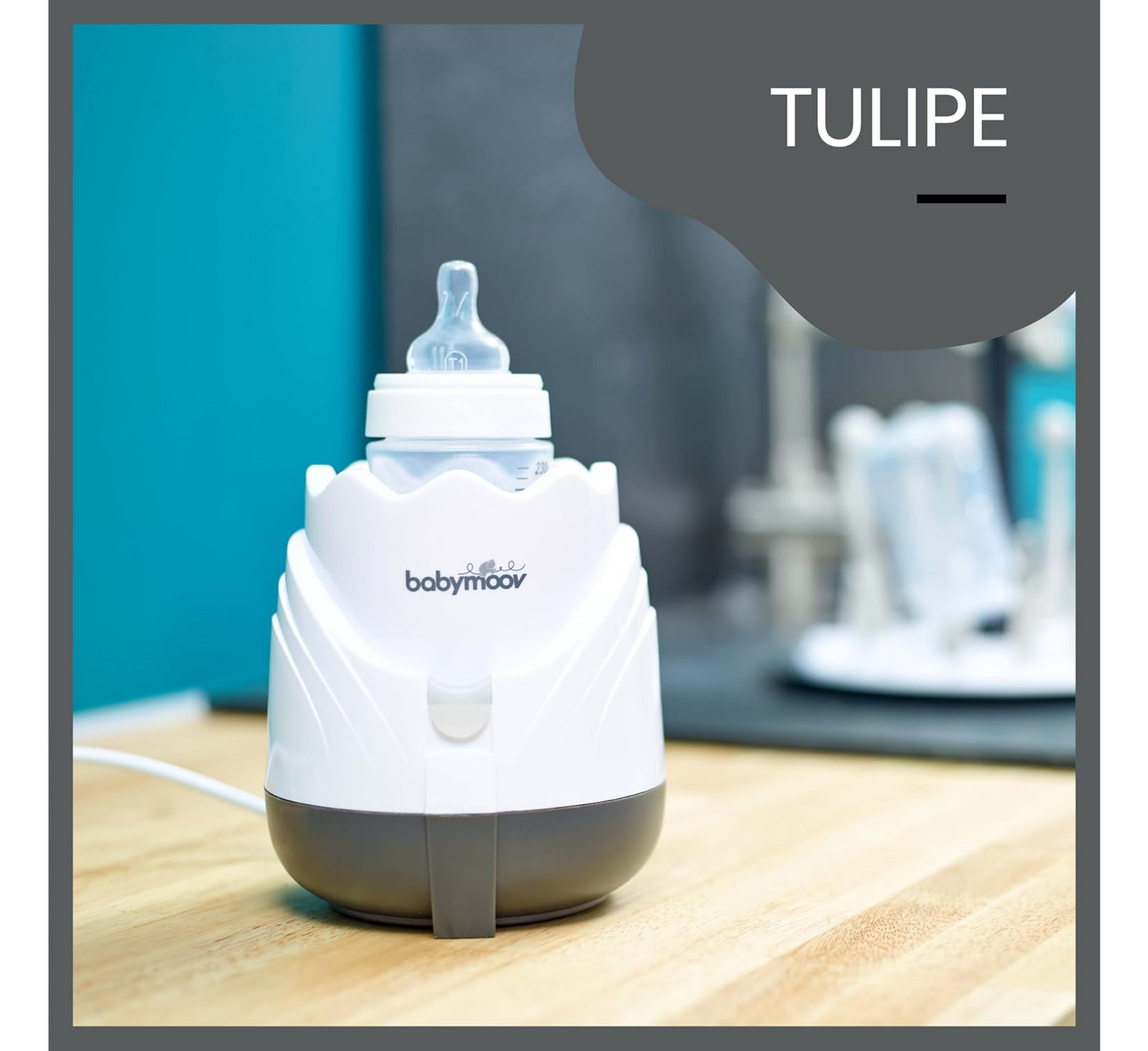Tulip Steam Bottle Warmer