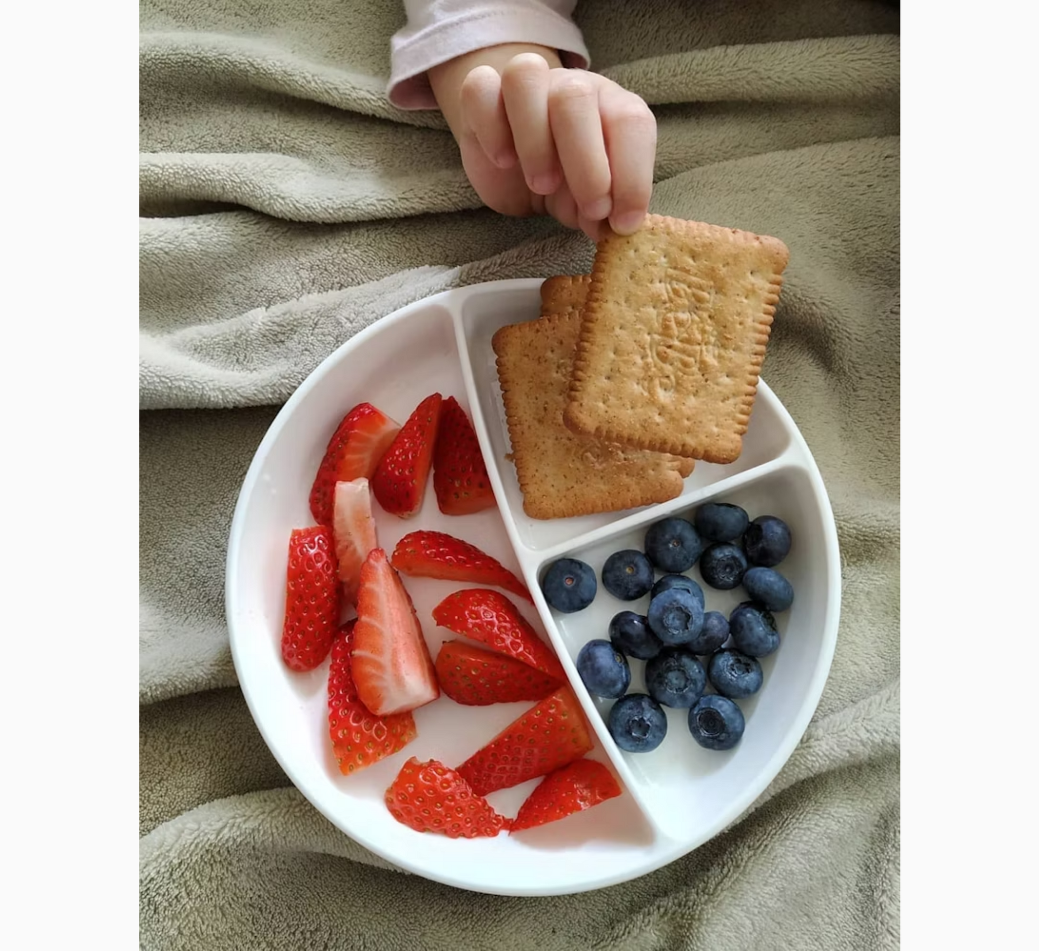 Twistshake Divided Infant Plate with Lid 6 Months+