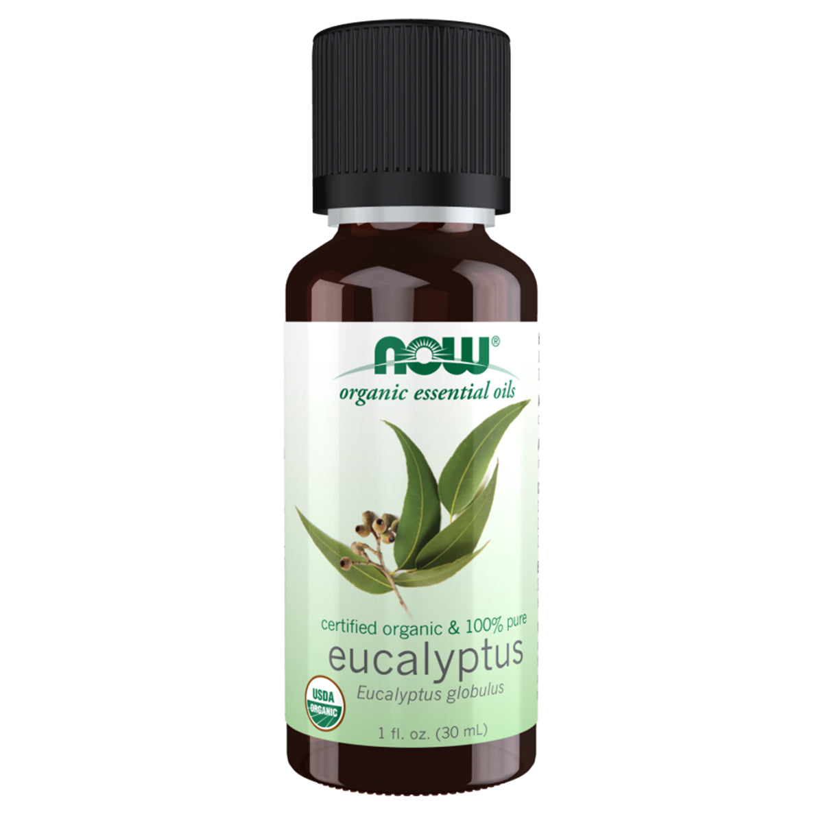 ORGANIC EUCALYPTUS OIL 1 OZ
