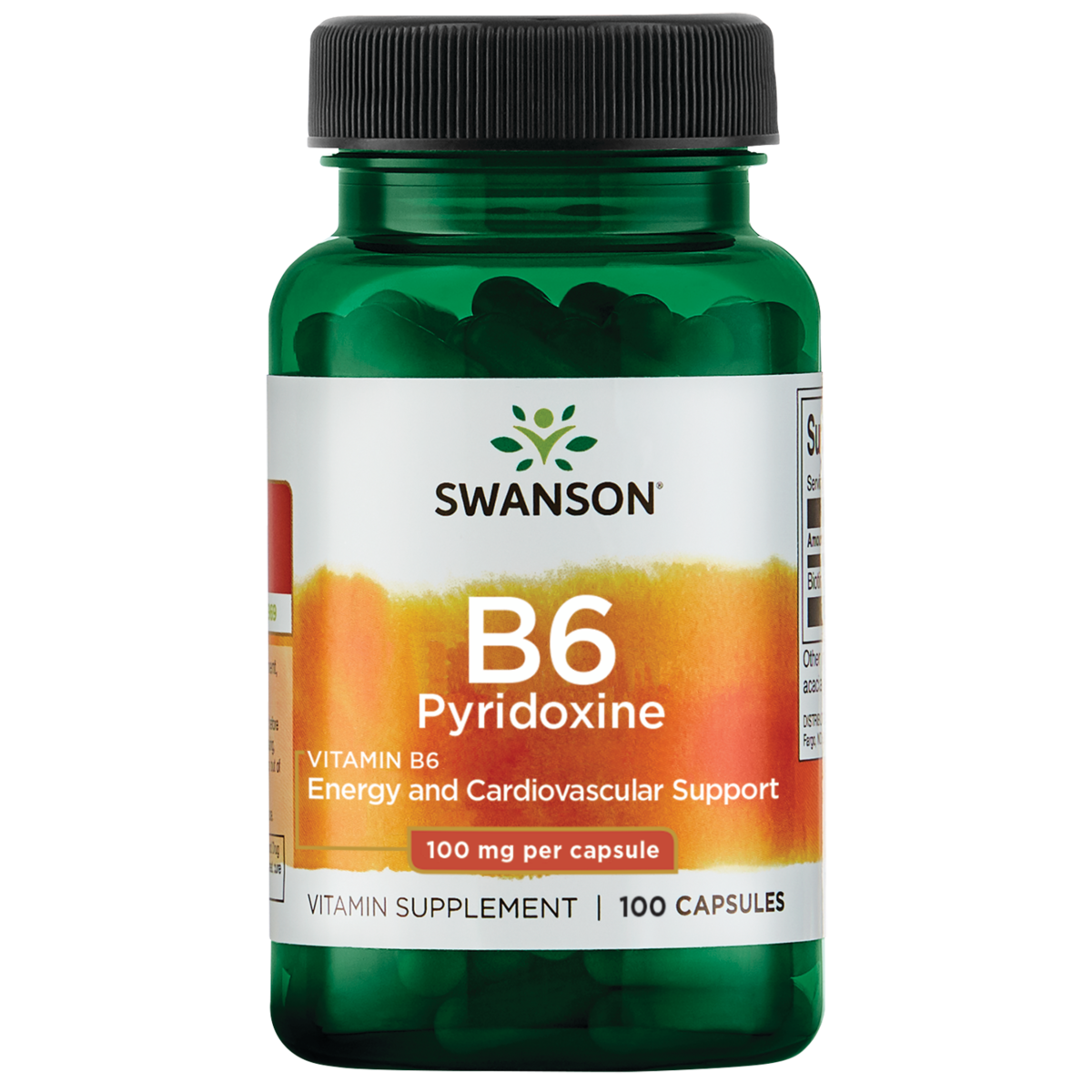 Vitamin B6 100 MG 100 Kapsula