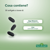 Adipoxan Forte