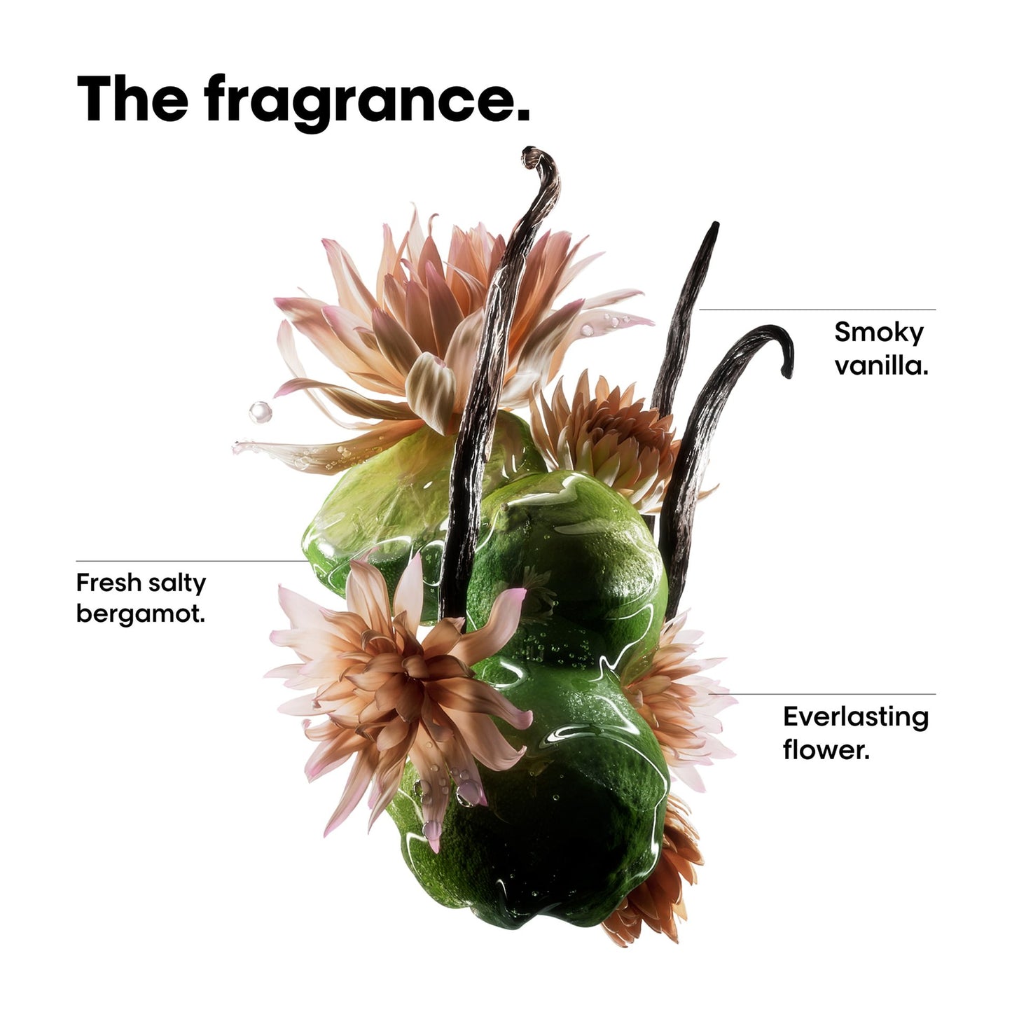 Professional Bi-phase Oil for damaged hair.