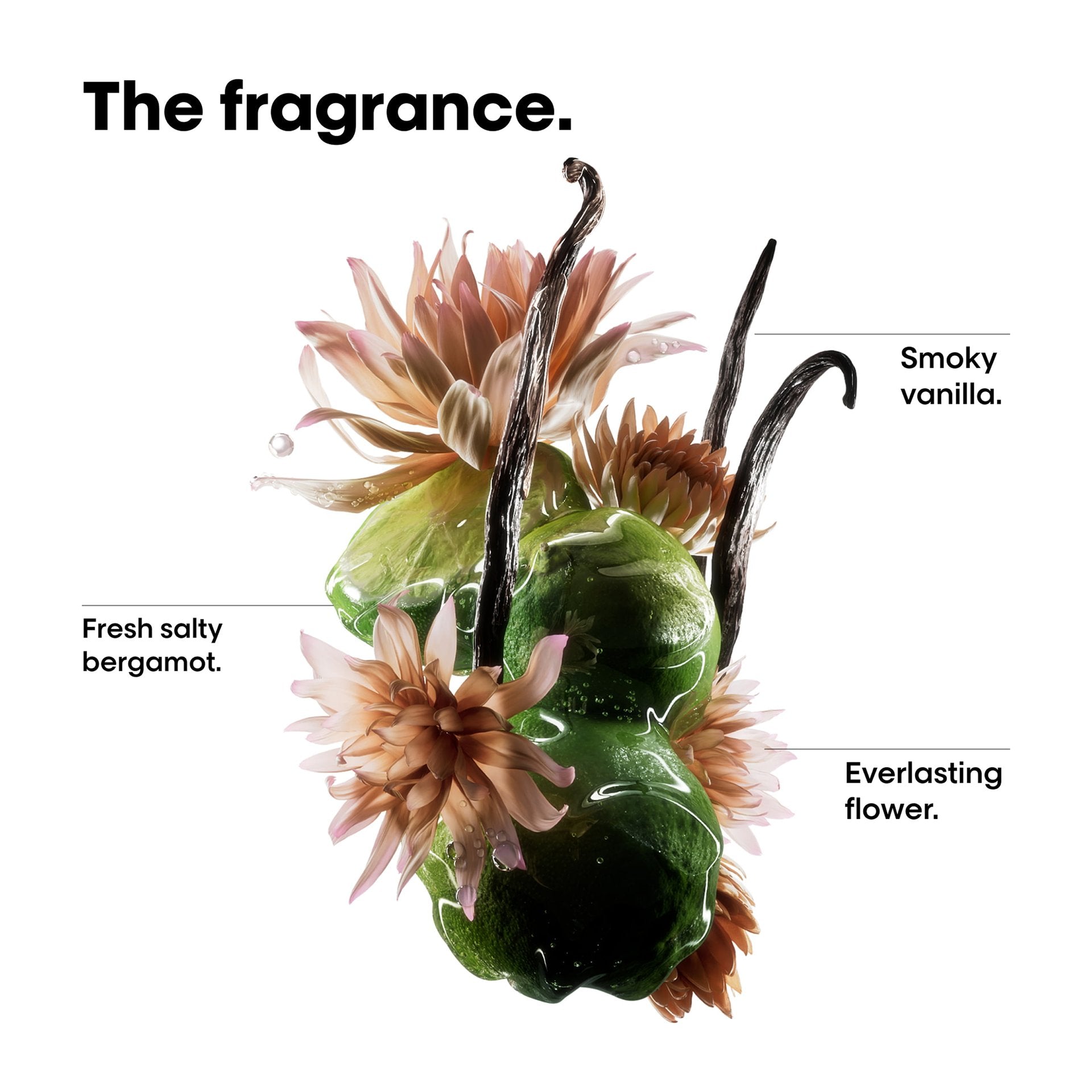 Professional Bi-phase Oil for damaged hair.