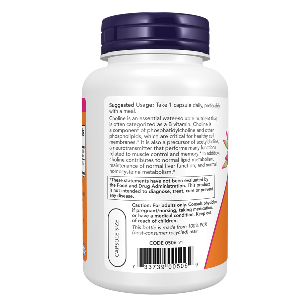 CHOLINE 300 MG 100 VCAPS-NOW