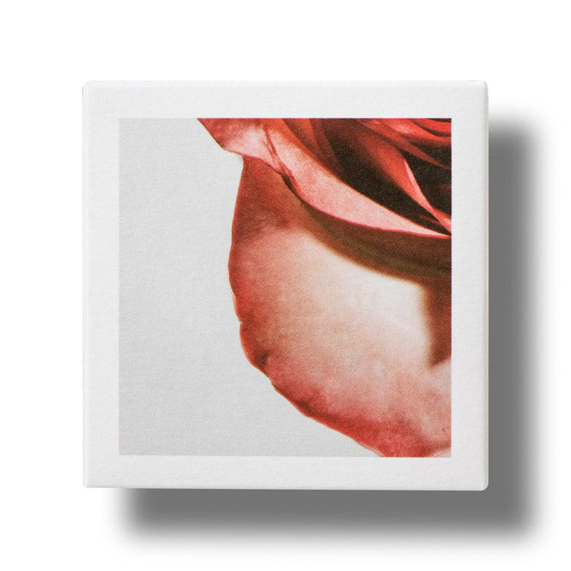 Apothecary Wild Rose Brighter Days Intense-Cream