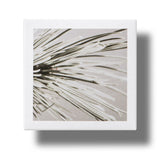 Apothecary Wild Rose Night-Brightening Sleeping Facial