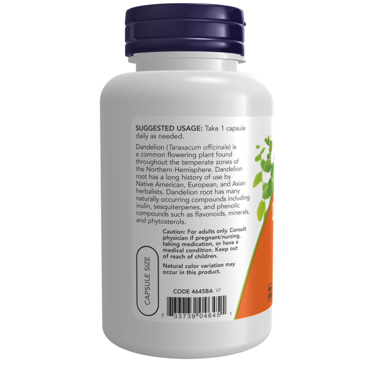 DANDELION ROOT 500 MG 100 VCAPS