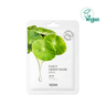 DAILY GREEN CICA MASK