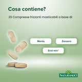 Digefizz