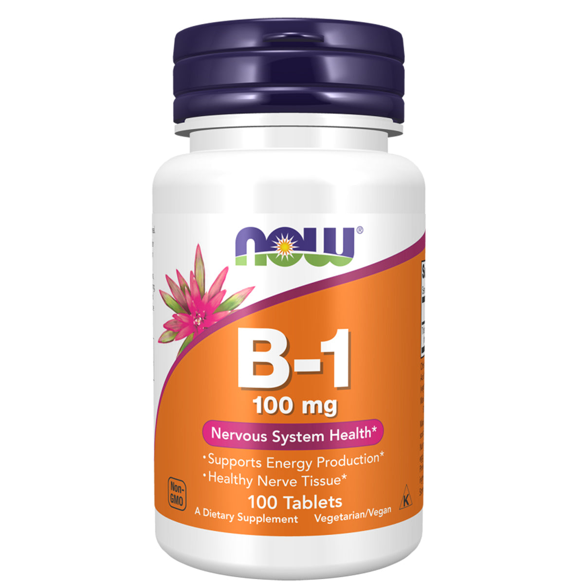 Vitamin B-1 100 mg Tablets