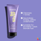 So Silver Triple Power Toning Hair Mask for Blonde and Silver Hair