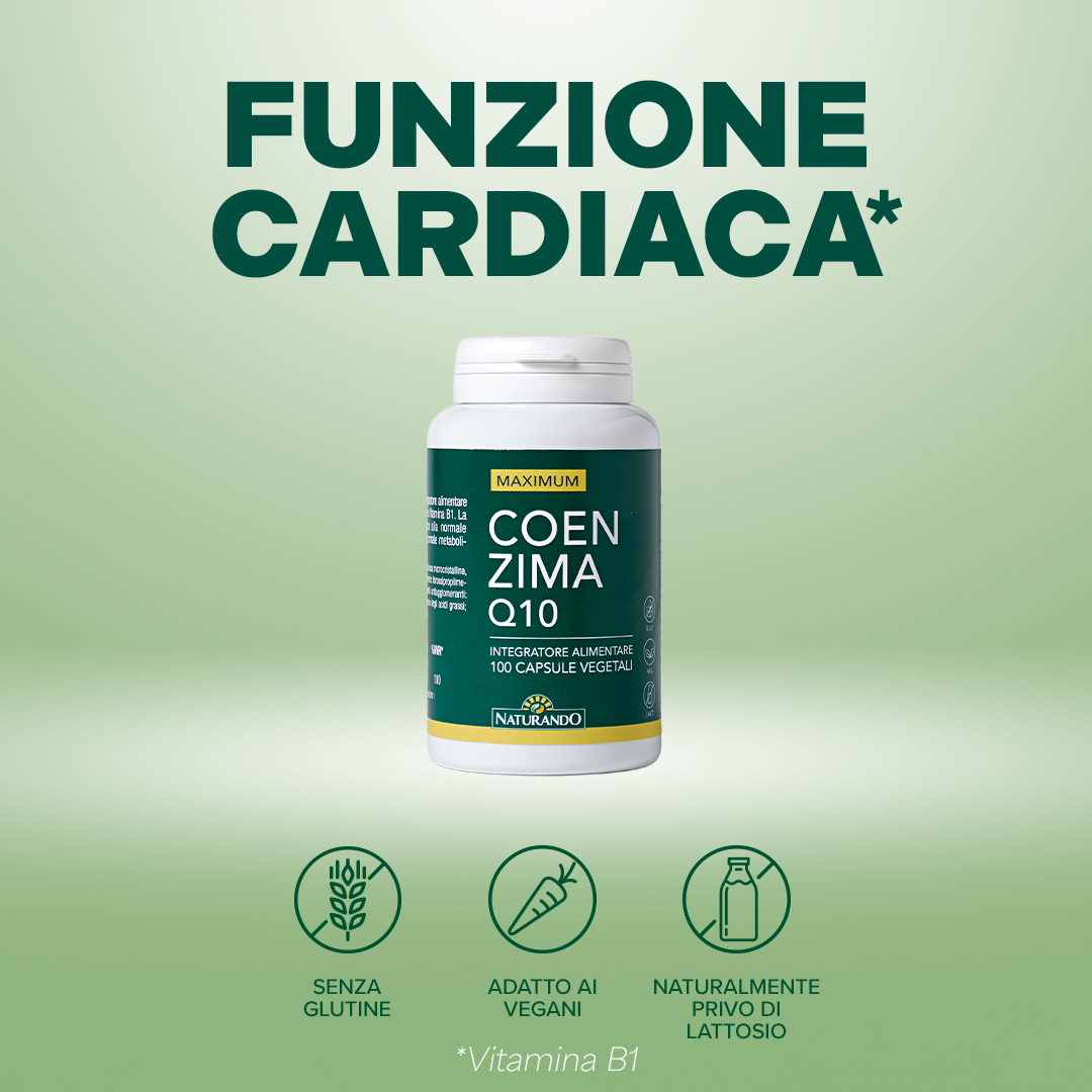 Maximum Coenzima Q10