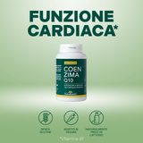 Maximum Coenzima Q10