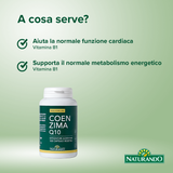 Maximum Coenzima Q10