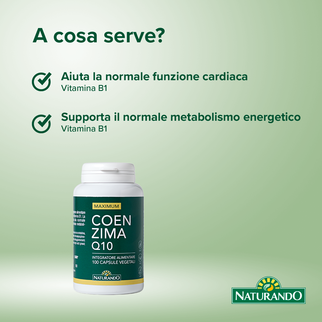 Maximum Coenzima Q10