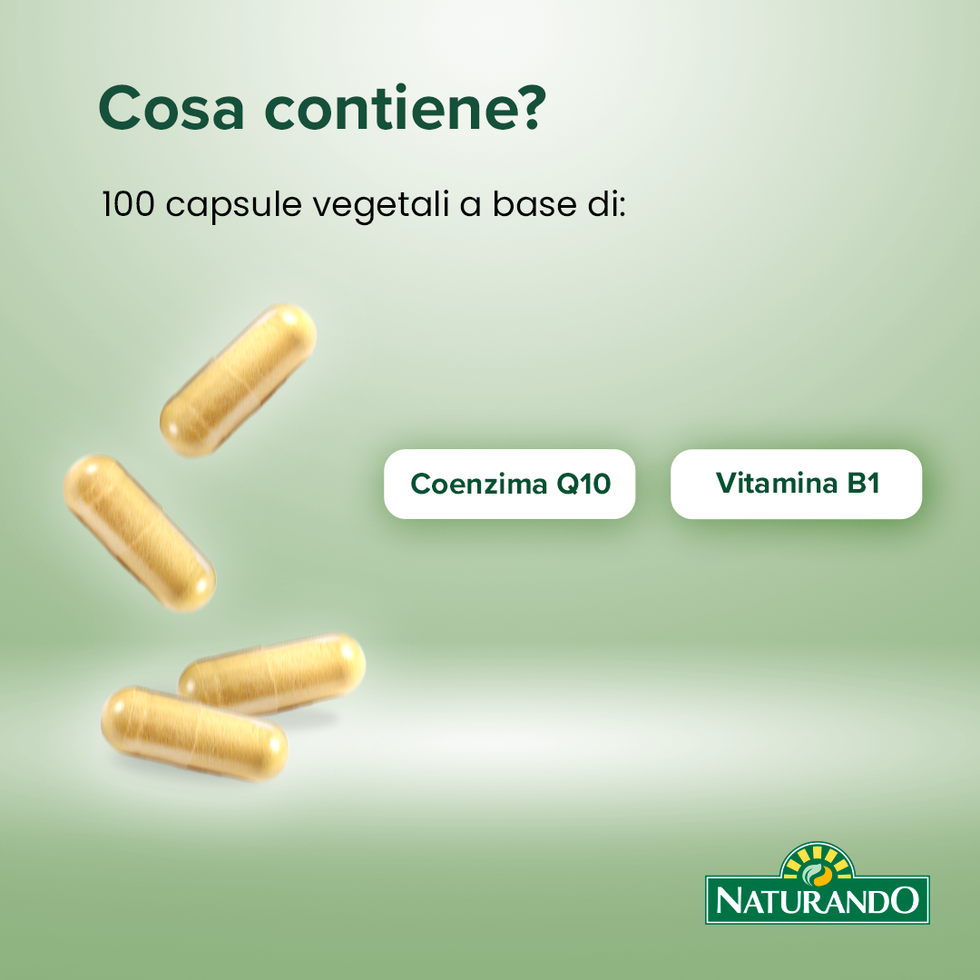 Maximum Coenzima Q10