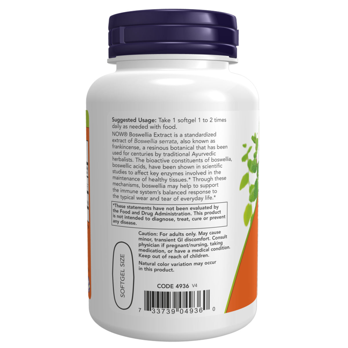 BOSWELLIA EXTRACT 500 MG 90 SGELS-NOW