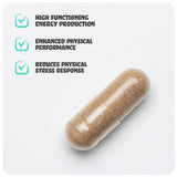 Neubria Charge - Halsa