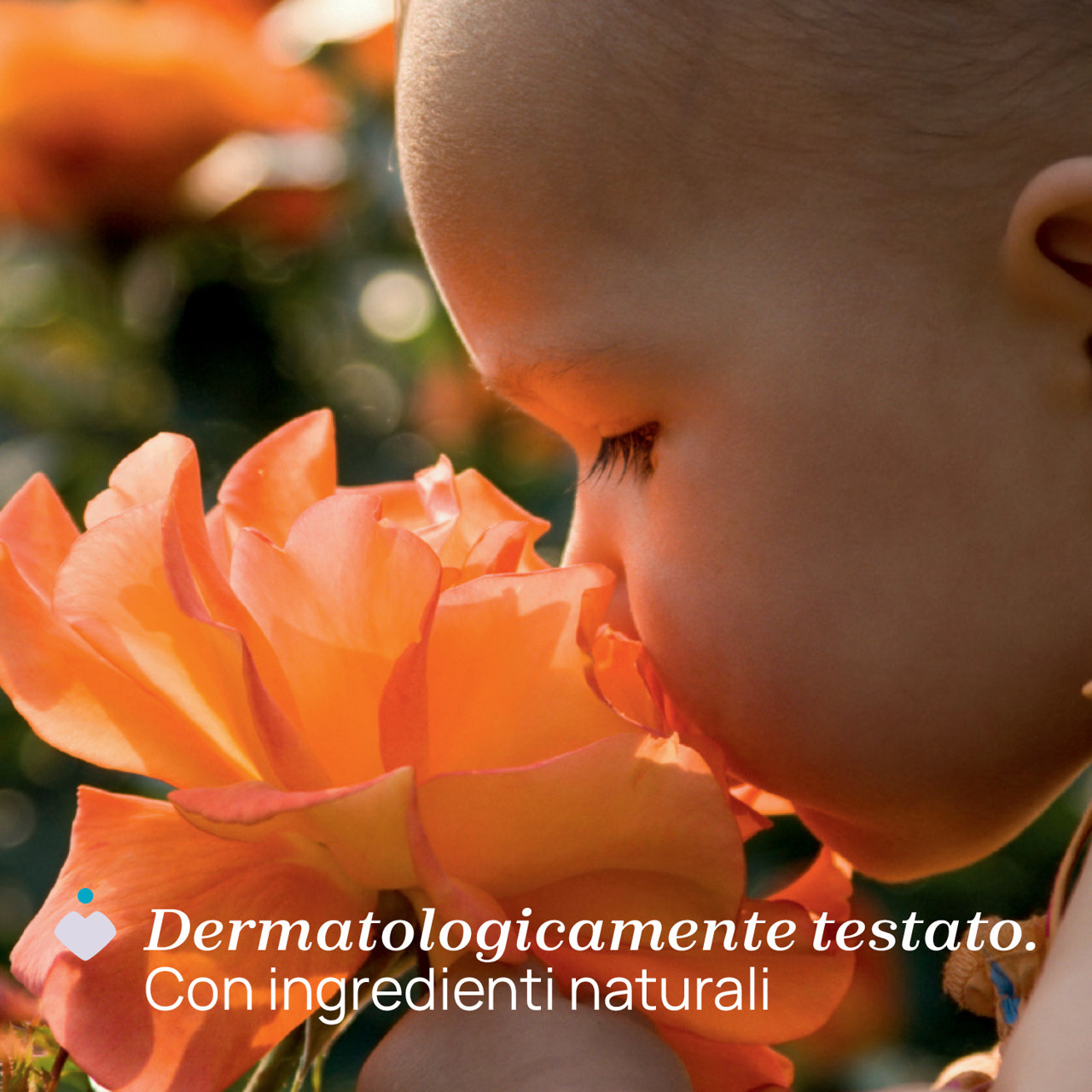 NGJITES PAS PICKIMIT 3Y+