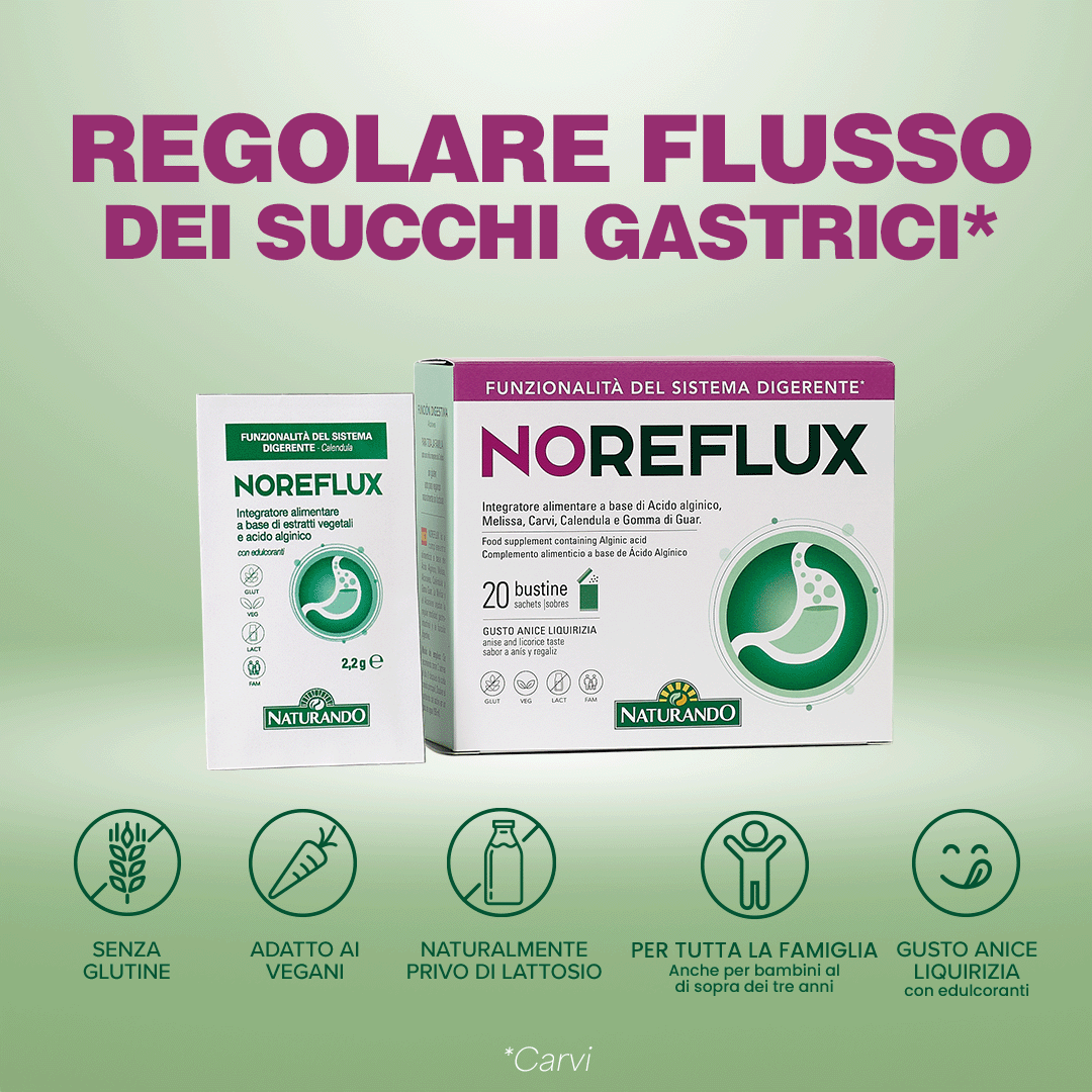 NoReflux